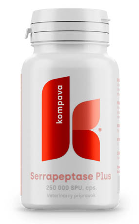 KOMPAVA SERRAPEPTASE PLUS 